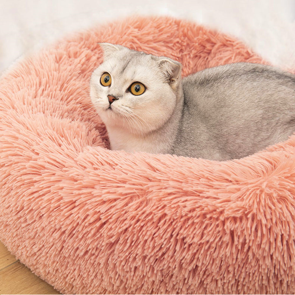 Super Soft Pet Cat Bed