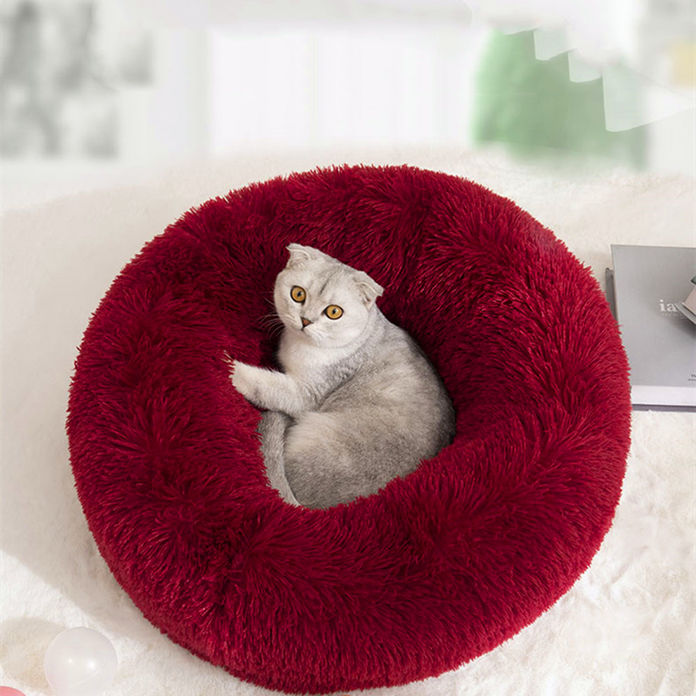 Super Soft Pet Cat Bed