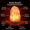 Natural Himalayan Hand Carved Salt Lamp